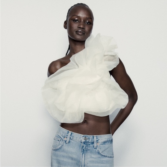 Zara Asymmetrical Organza Top - Picture 9 of 14